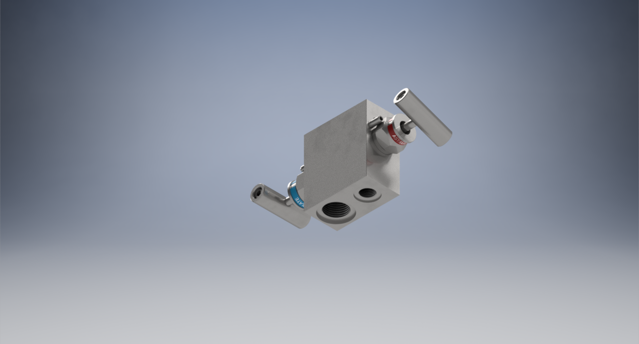 2通仪表歧管，207系列，直阻断-泄放，内螺纹x内螺纹